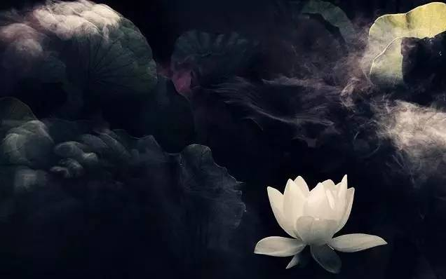 网络收徒弟经典句子（汇总40句）